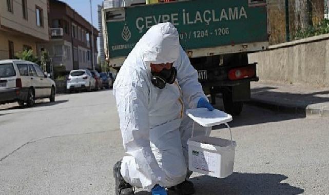 Çankaya Köşe Bucak İlaçlanıyor