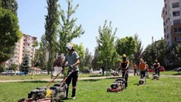 Çankaya parklarında çimler biçme ve ot temizleme mesaisi