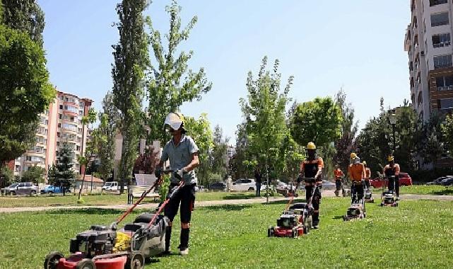 Çankaya parklarında çimler biçme ve ot temizleme mesaisi