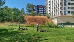 Gebze Tatlıkuyu Vadisi Kent Parkı’na sistemli bakım