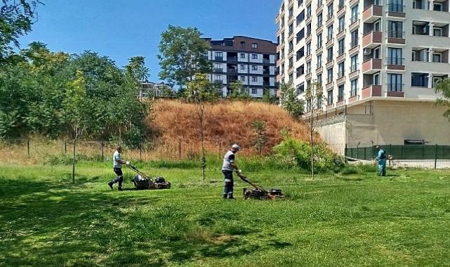 Gebze Tatlıkuyu Vadisi Kent Parkı’na sistemli bakım