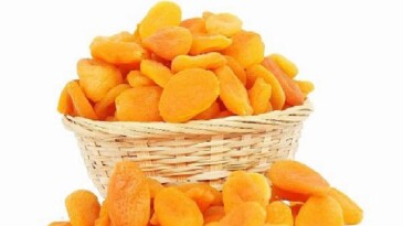 İklim Krizi Kayısıyı Vurdu: Malatya’da Üretim 5 Bin Tonun Altına Düşebilir