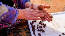 İnci GS Yuasa Akü’den tabiata 100.000 tohumluk katkı!