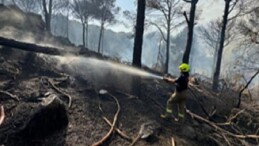 İzmir İtfaiyesi Bergama’da alevlerle mücadele ediyor
