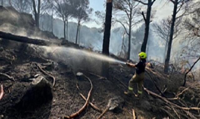 İzmir İtfaiyesi Bergama’da alevlerle mücadele ediyor