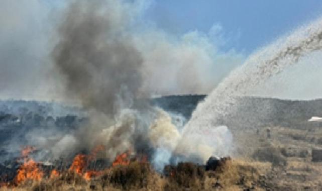 İzmir İtfaiyesi kentsel ve kırsal yangınlarla çaba ediyor