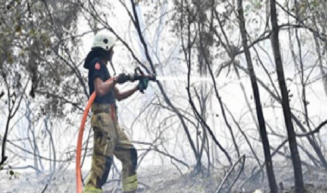 İzmir İtfaiyesi Menderes’te alevlerle gayret ediyor
