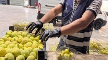 İzmir’de üreticiye ve muhtaçlık sahiplerine değerli dayanak