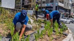 Kavşaklara estetik ve sürdürülebilir dokunuş