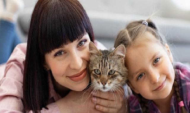 Kedilerin Hayatımıza Katkıları Yalnızca Sevgiyle Hudutlu Değil