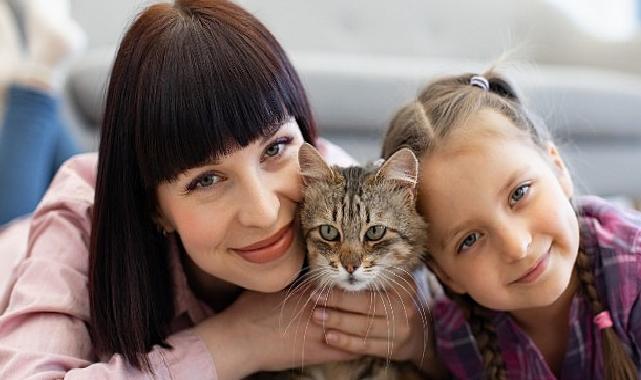 Kedilerin Hayatımıza Katkıları Yalnızca Sevgiyle Sonlu Değil