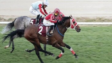 Konak Belediye Başkanlığı Koşusu’nu Gutshot kazandı