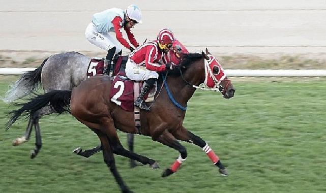 Konak Belediye Başkanlığı Koşusu’nu Gutshot kazandı