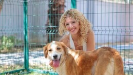 Konak’ın patili dostları ömürlük yuvalarını bekliyor