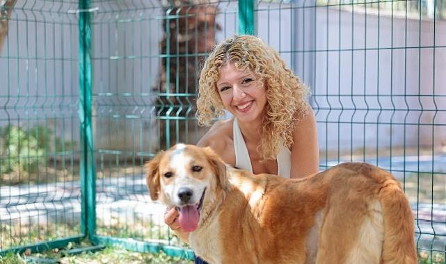 Konak’ın patili dostları ömürlük yuvalarını bekliyor