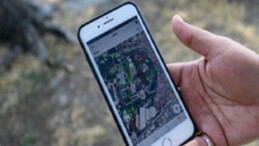 Kültürpark’ın palmiyeleri inançta