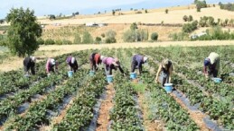 Lider Altay: “Tarımın Her Alanında Üreticimizin Yanında Olmaya Devam Edeceğiz”