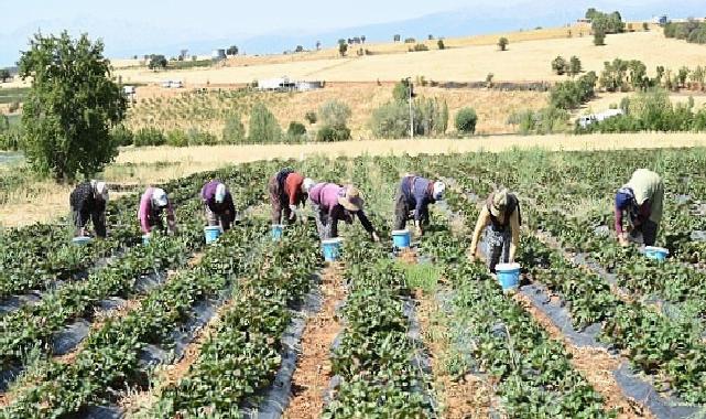 Lider Altay: “Tarımın Her Alanında Üreticimizin Yanında Olmaya Devam Edeceğiz”