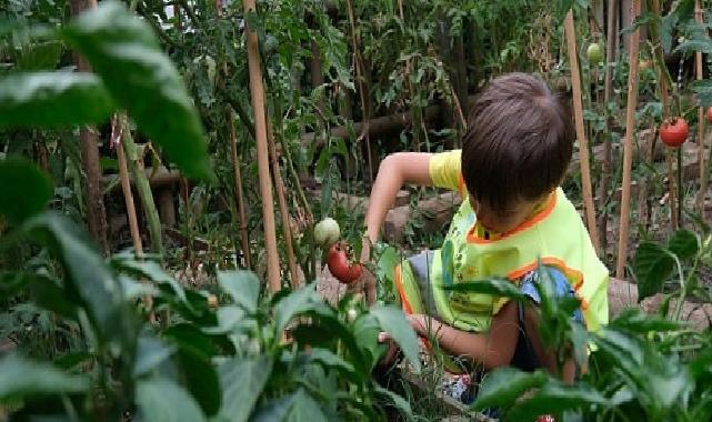 Lokomotif Çocuk Köyü’nde hasat sevinci