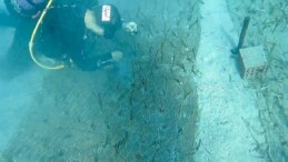 Mavi Nefes Projesi’nden Türkiye’de Bir Birinci: Göcek’te 2.000 Yaşında Deniz Çayırı Keşfedildi