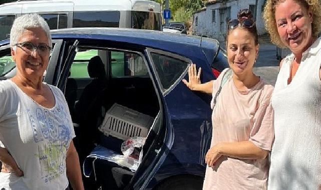 Narlıdere Belediyesi’nden minik dostlar için seferberlik