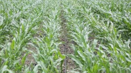 PepsiCo Suyun Geleceğini Muhafaza Konusunda Kararlı Adımlar Atmaya Devam Ediyor