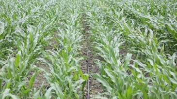 PepsiCo Suyun Geleceğini Muhafaza Konusunda Kararlı Adımlar Atmaya Devam Ediyor