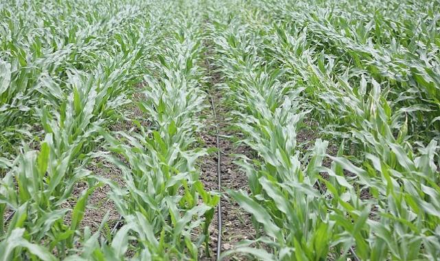 PepsiCo Suyun Geleceğini Muhafaza Konusunda Kararlı Adımlar Atmaya Devam Ediyor