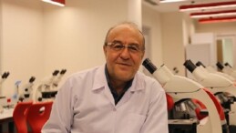 Pestisitler, arı nüfusunu da tehdit ediyor! Arıların yok oluşu zincirleme bir çöküşe sebep olur!