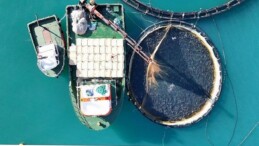 Su Eserleri İhracatın Yeni Yıldızı Türk Somonu İçin 4 Lisanda Tanıtım Sineması Hazırlandı – Bu Sinemanın Başrolünde Türk Somonu Oynadı