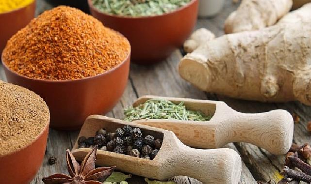 WorldFood İstanbul Fuarı’na 25 firmayla çıkarma yapacaklar