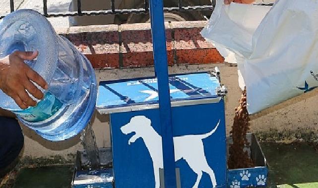 Yazın Sıcak Günlerinde Küçükçekmece Belediyesi’nden Sokak Hayvanlarına Can Suyu Daveti