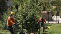 Yeşil Bir Çankaya İçin Parklarda Bakım Yapılıyor