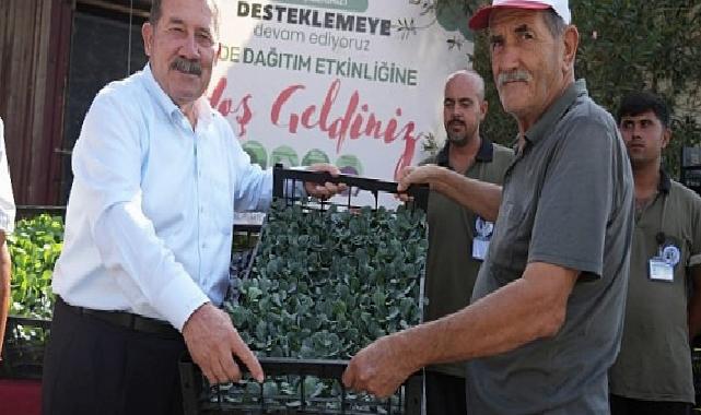 Yüzde 50 Hibeli Kışlık Zerzevat Fidesi Dayanağı Üreticilerle Buluştu