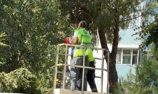 Bakırköy Belediyesi Grupları Kurtardı