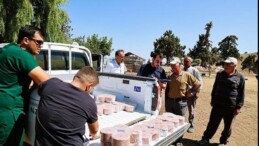 Büyükşehir Konyaaltı’nın “Çoban Haritasını” çıkarıyor