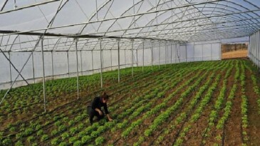 Büyükşehir’den çiftçilere çağdaş sera takviyesi