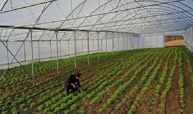 Büyükşehir’den çiftçilere çağdaş sera takviyesi