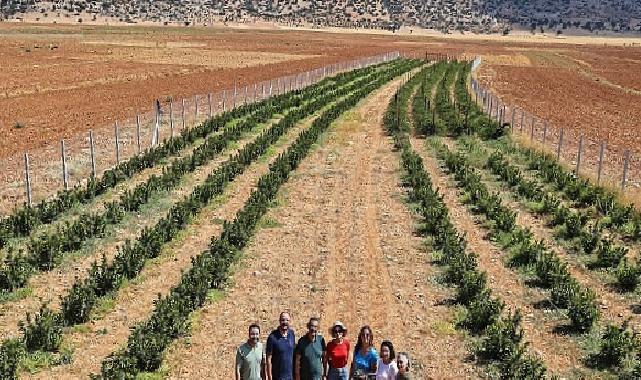 Büyükşehir’in hibeleri üreticinin yüzünü güldürdü
