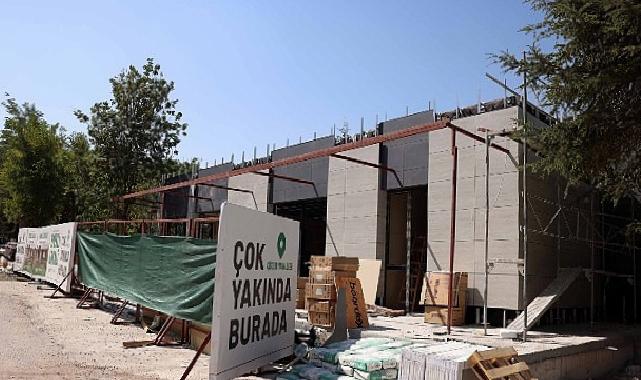 Çankaya, Çınarların Yeni Buluşma Noktası Olacak