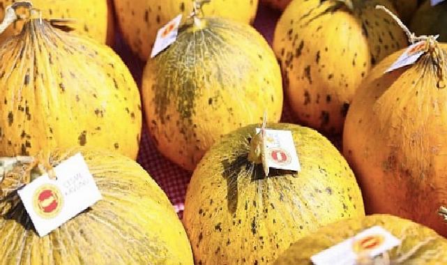 Çeşme, üretim kültürünü kutladı: 10. Ovacık Tarım ve Sakız Koyunu Şenliği tamamlandı