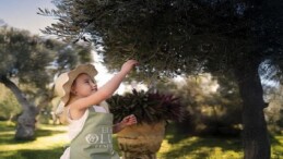 Ela Excellence Resort Belek’te Zeytin Ağaçlarının Gölgesinde Unutulmaz Bir Seyahat