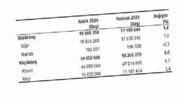 Hayvancılık İstatistikleri, Haziran 2025
