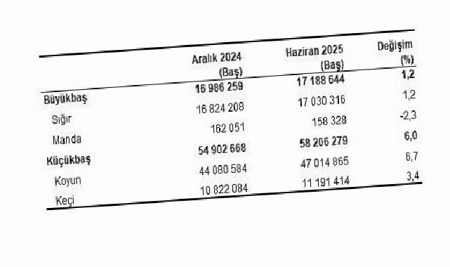 Hayvancılık İstatistikleri, Haziran 2025