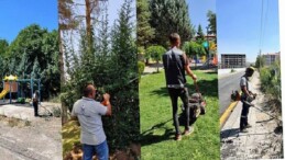 İlçe Genelinde Yabani Ot ve Çim Biçme Seferberliği