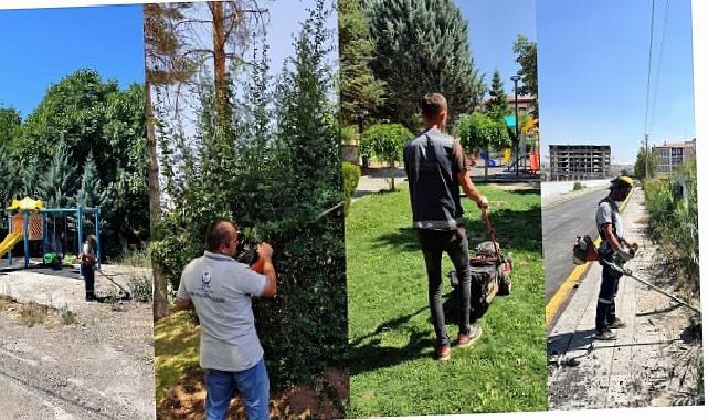 İlçe Genelinde Yabani Ot ve Çim Biçme Seferberliği