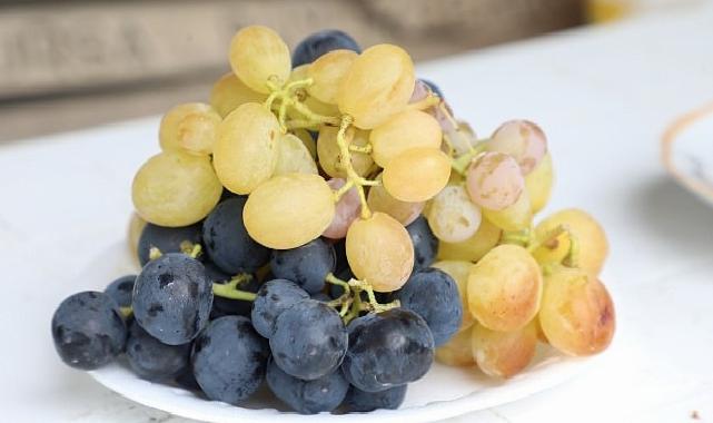 İnegöl Belediyesi’nden Çiftçiye Üzüm Hasadını Kolaylaştıran Dayanak