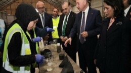 İzmit Körfezi, Maldivler’e benzemeye başlamış