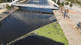 İzmit Körfezi’ne paklık kalkanı