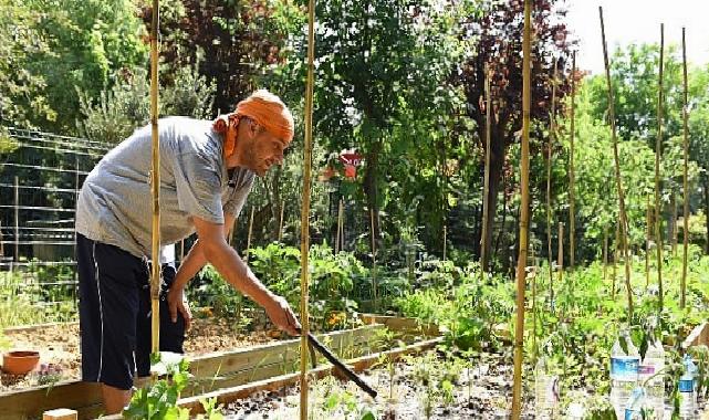Kadıköy Bostanları’nda Kış Devri İçin Kayıtlar Başladı